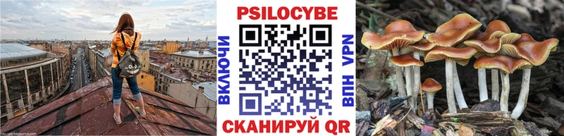 Галлюциногенные грибы Psilocybe  Пересвет 